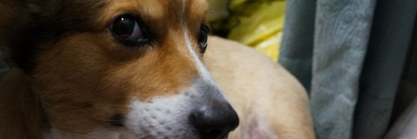 affiliate_with Profile Banner