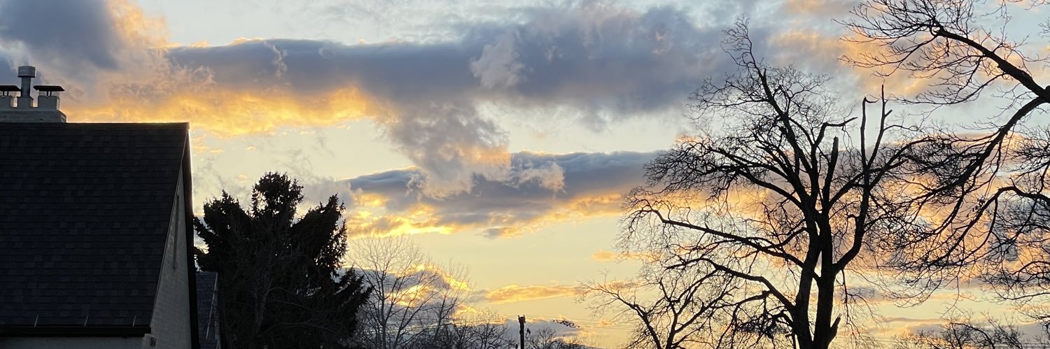 Oscvlogs's profile banner image