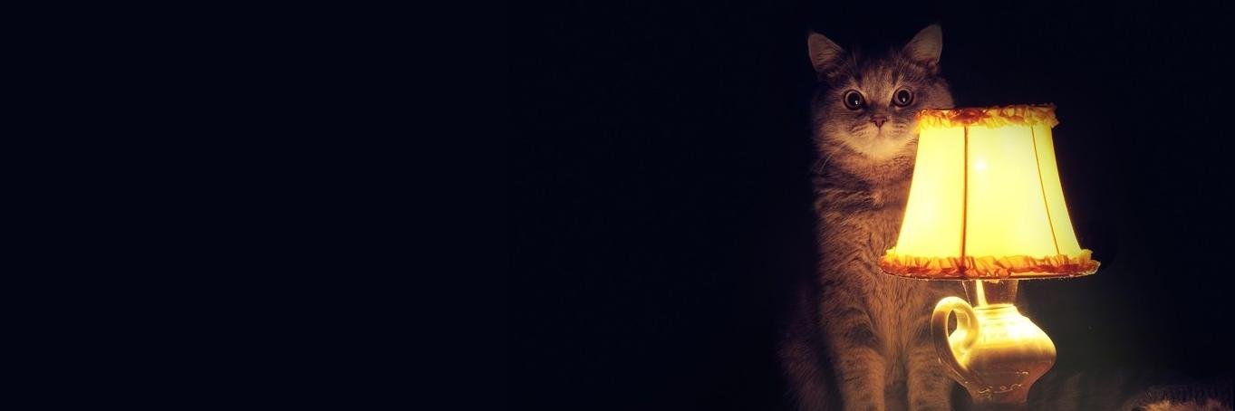 bull_andr's profile banner image