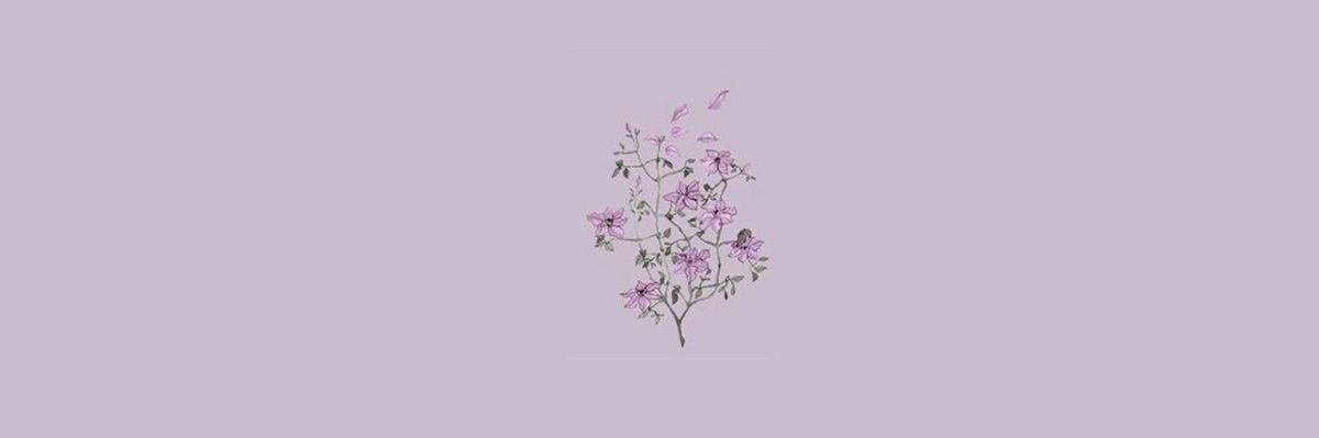 SarahNaz_'s profile banner image