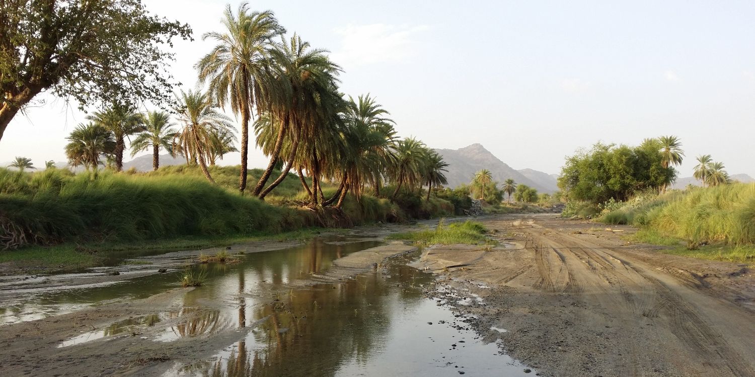 Abu Omar ⌬KSA⌬ banner