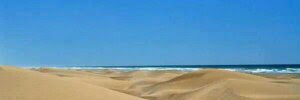 saaddinhalim's profile banner image