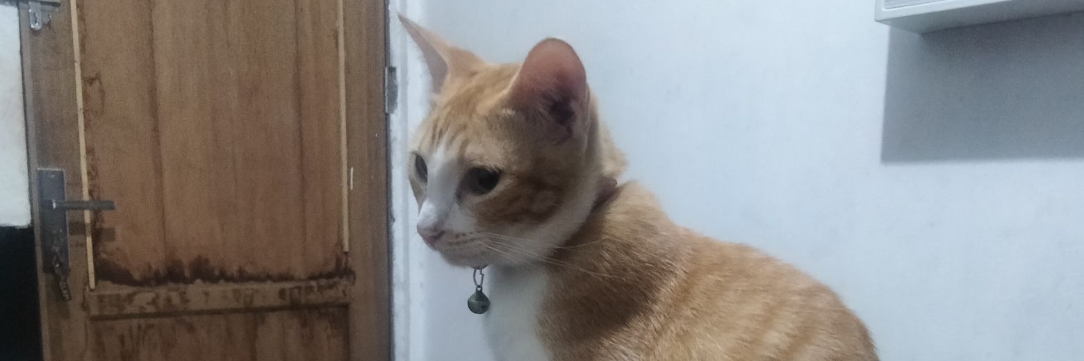 lesbad1313's profile banner image