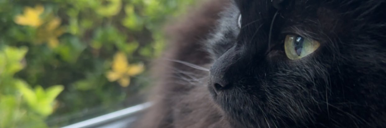 NotSocial420_'s profile banner image