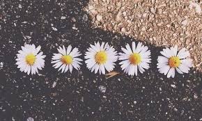 damisogalways's profile banner image