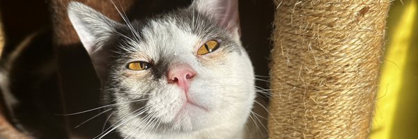 9ianny Profile Banner