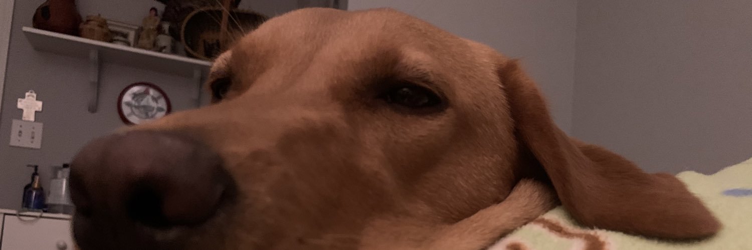 TaylorLBrewer's profile banner image