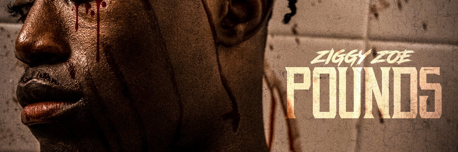 ZiggyZoeMusic's profile banner image