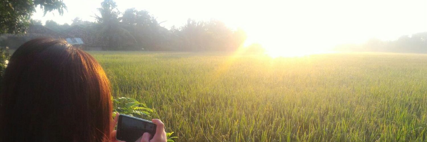 Molia_twit's profile banner image