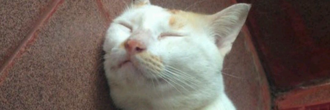 anggitagie's profile banner image
