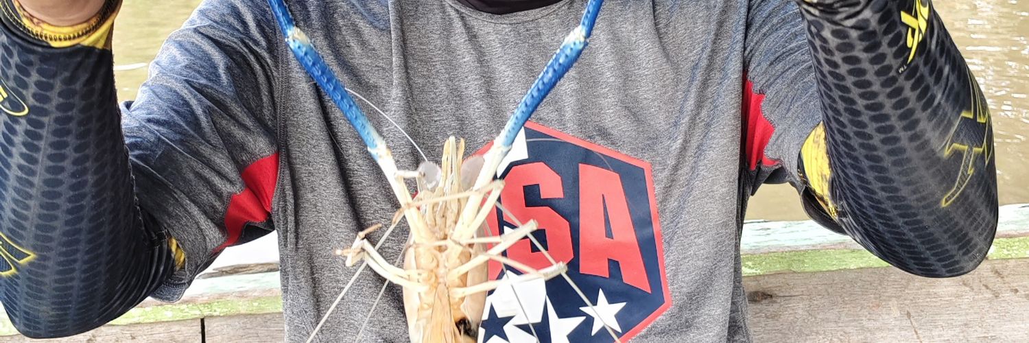 Dhoni Hendra P banner