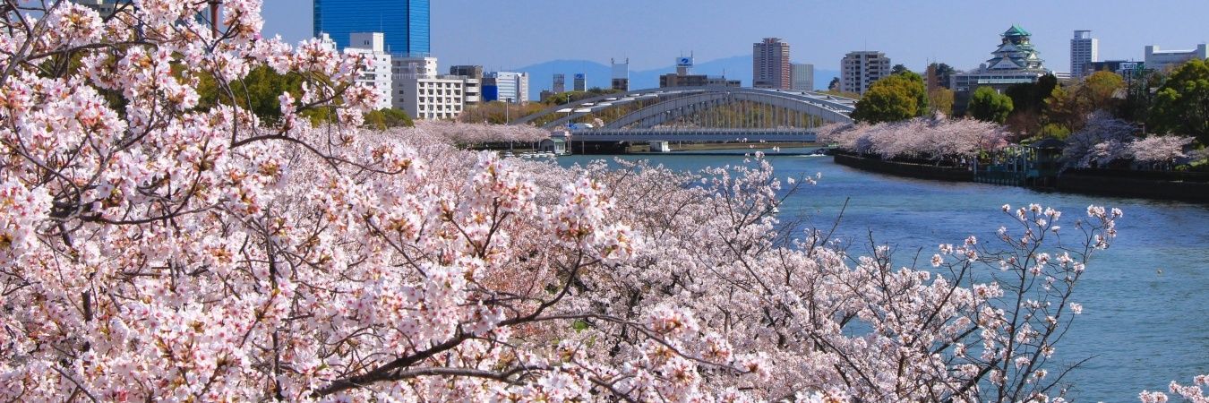 taka_w08's profile banner image