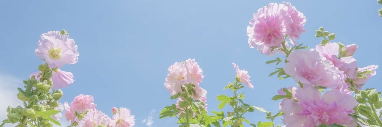 gdhnwr's profile banner image