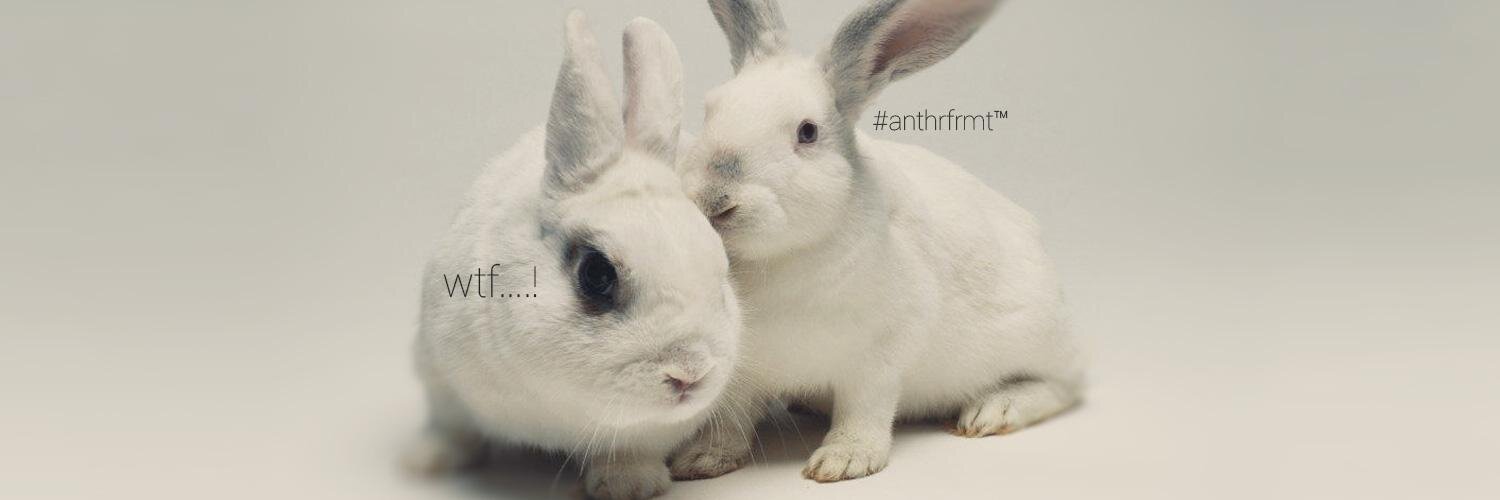 anthrfrmt's profile banner image
