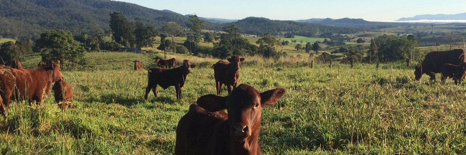 FutureAgQld's profile banner image