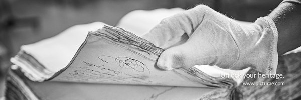 Picturae_INT Profile Banner