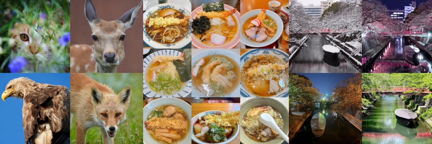 うぐい banner