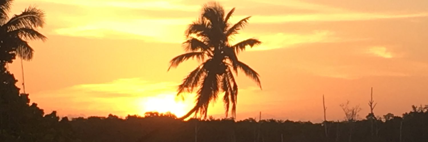 Jennifer Scrant banner