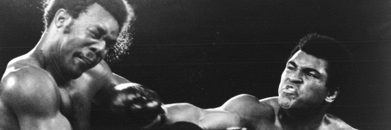 Reinaldo González D banner
