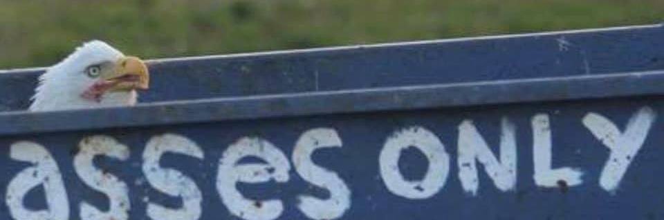 poltergeist who tidy up banner