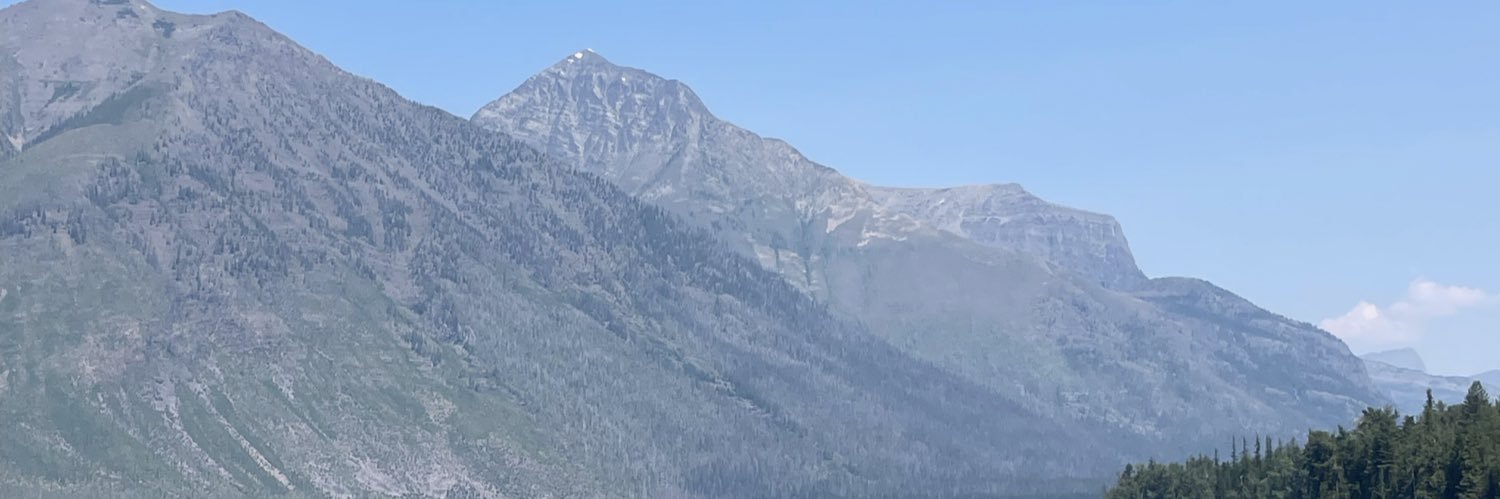 Stacey Travis banner