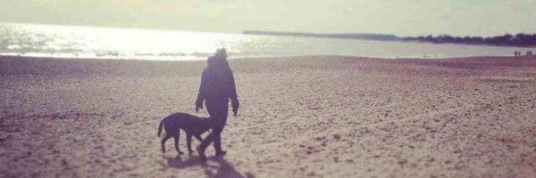 Kate_Iewis Profile Banner