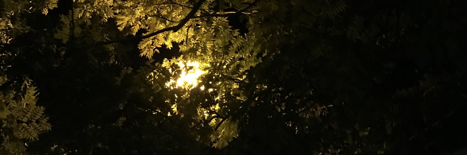 itsuglymann's profile banner image