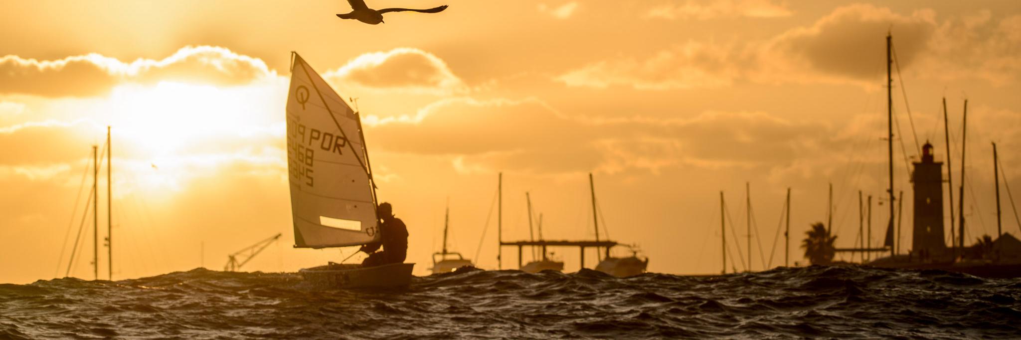 Ricardo Pinto banner