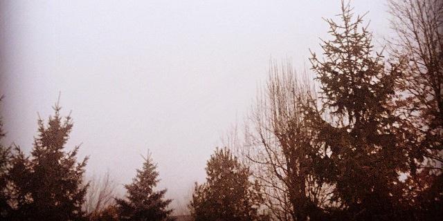 vilanthropy's profile banner image