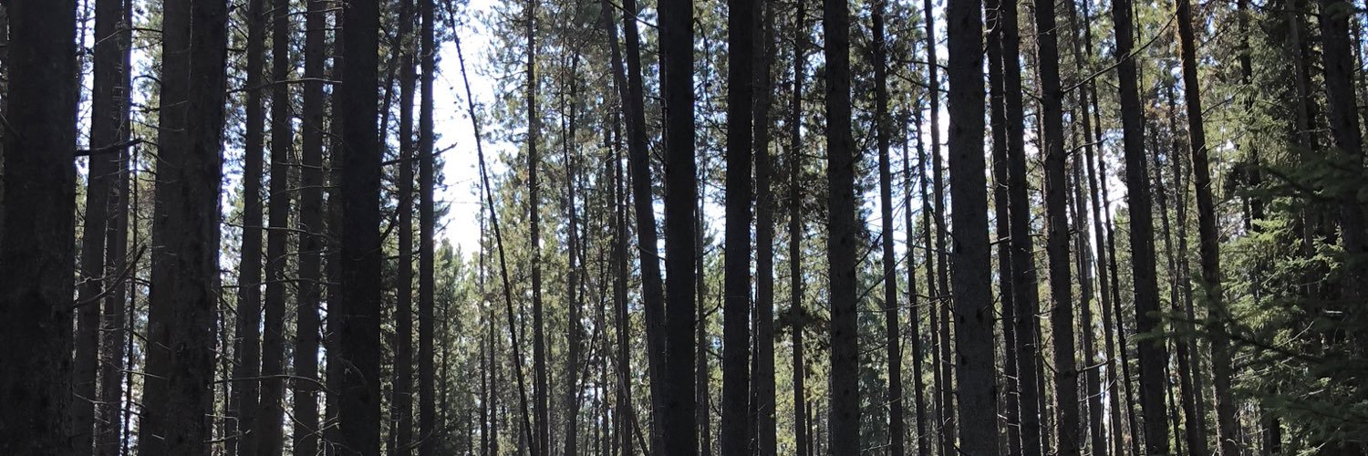 JaysonOSB's profile banner image