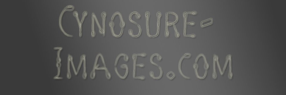 Cynosure Images banner
