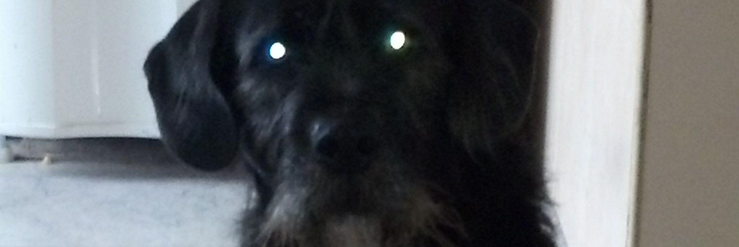 Malvado773's profile banner image