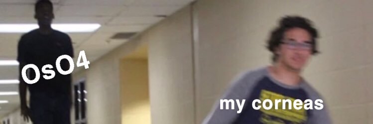 GriffithLyndsey's profile banner image