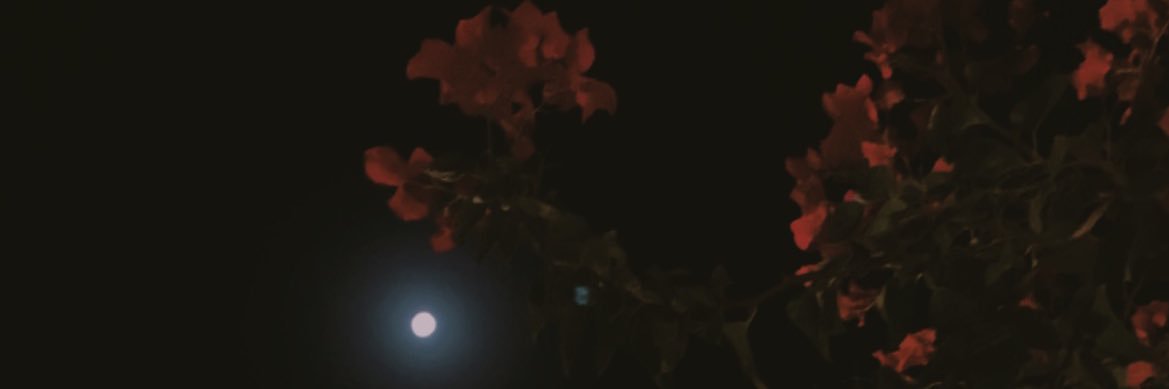 manaer_'s profile banner image