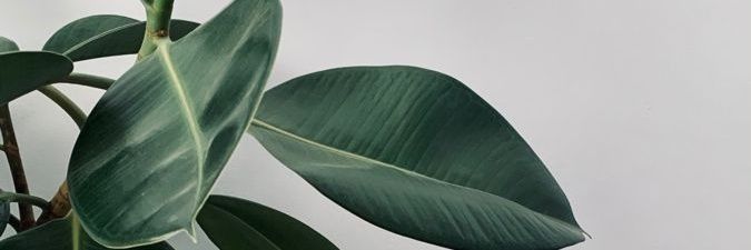 md_iremsena's profile banner image