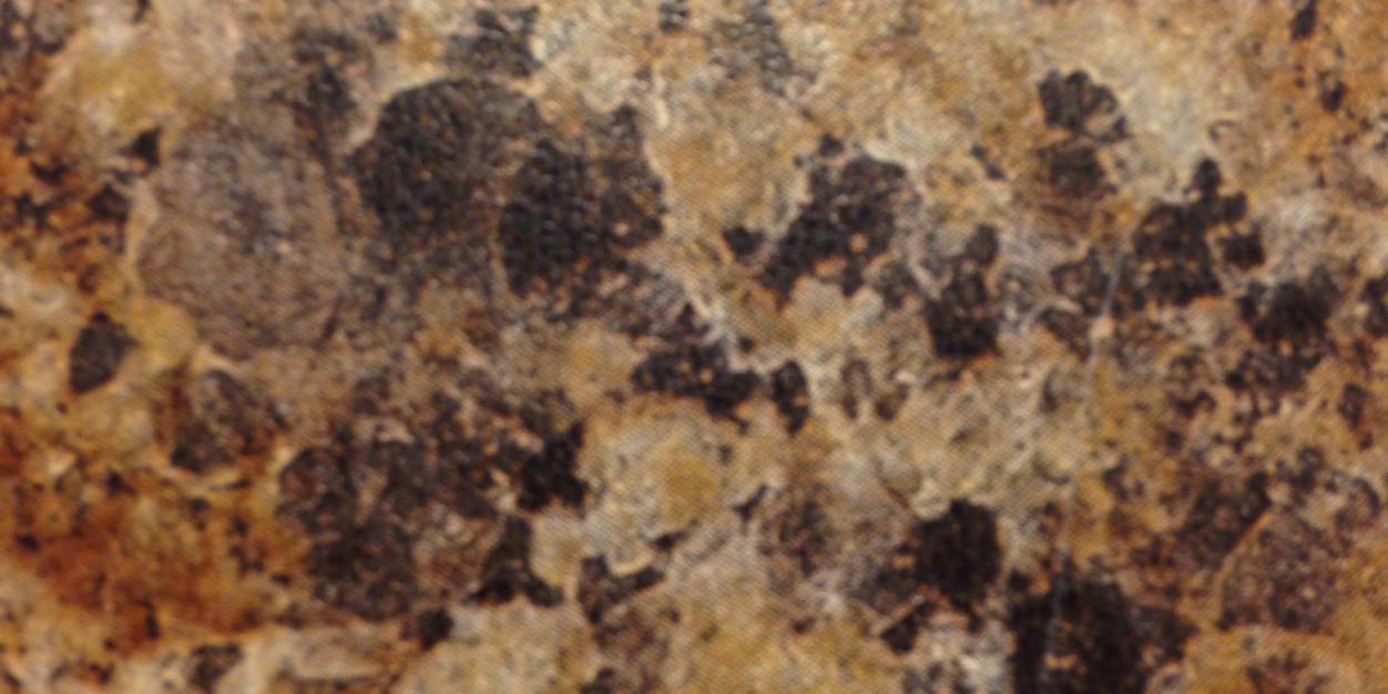Oleksymath's profile banner image
