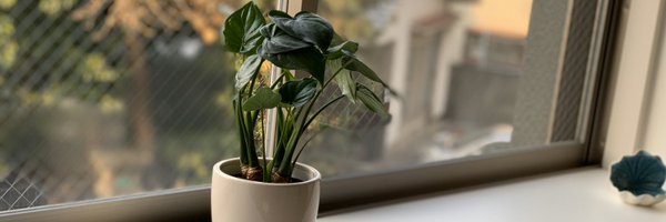 tknkty321 Profile Banner