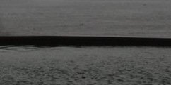 ebricenof's profile banner image