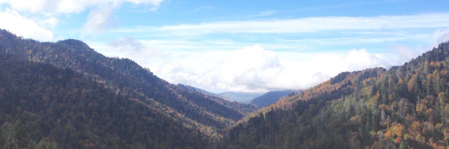 sydneycshort's profile banner image