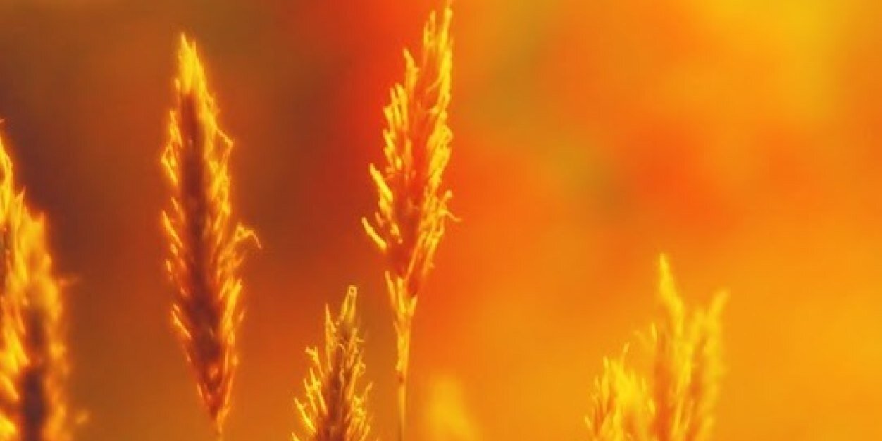 Martin_Juli's profile banner image