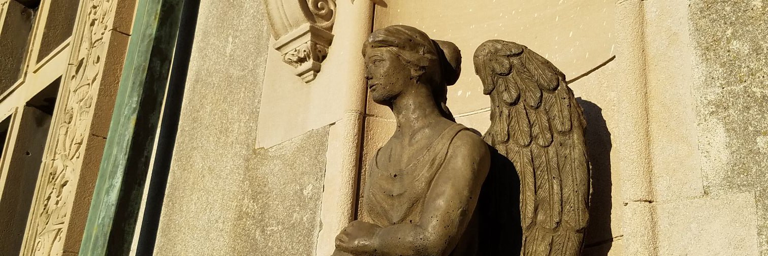 TarkaNation's profile banner image