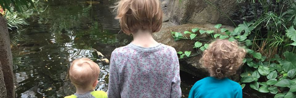 HotRahdMama's profile banner image