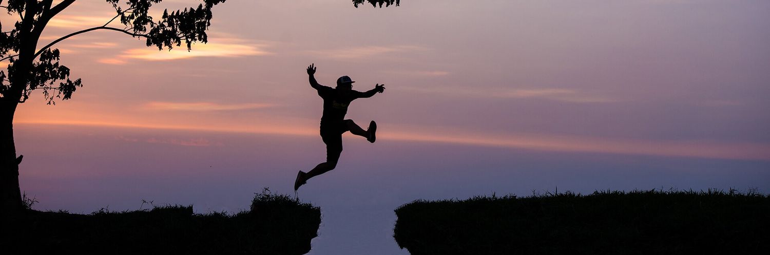 Bisontraveller banner