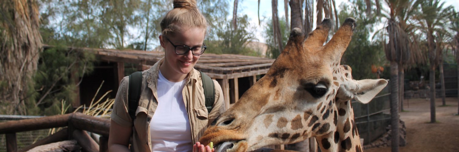allyforrestt's profile banner image