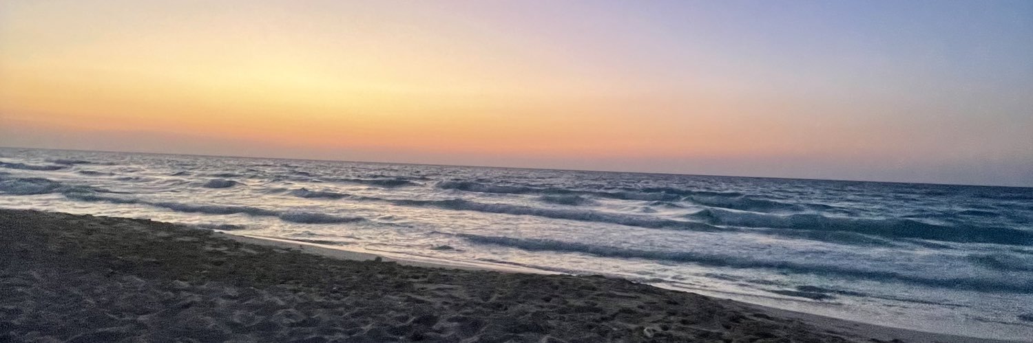 SForSohaila_'s profile banner image