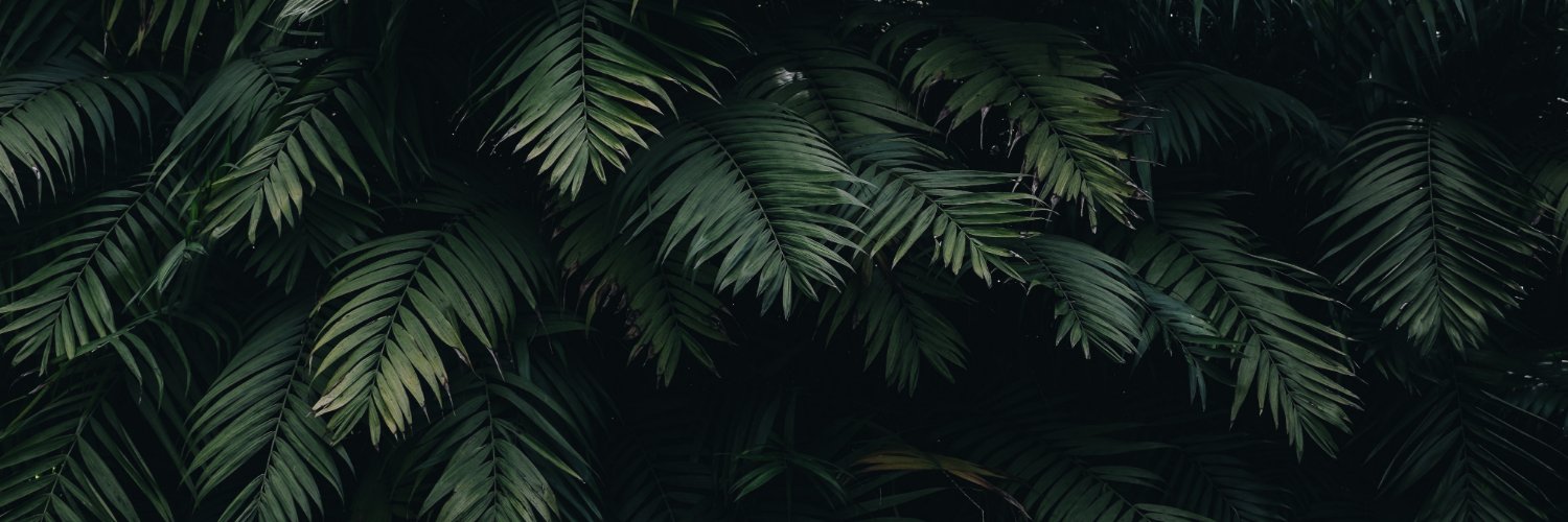 cucuantoine's profile banner image
