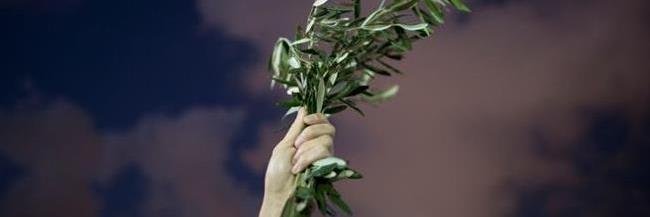 FMohajer's profile banner image