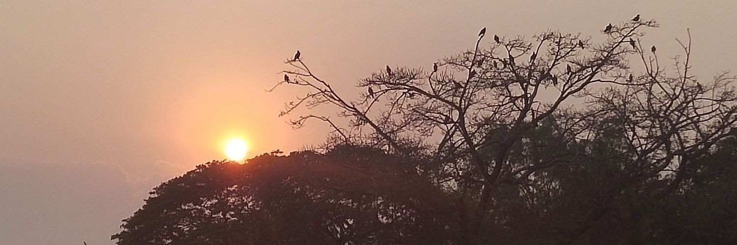 pavanraheja's profile banner image