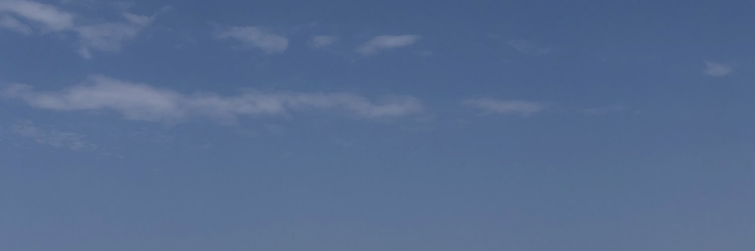 SybilleDB's profile banner image