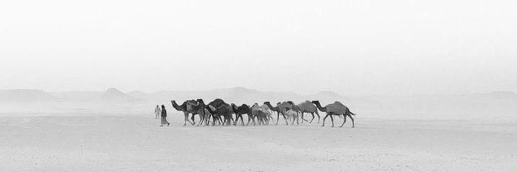 هكر اخلاقي _ استشاري تقنيات ' المرعب ' banner